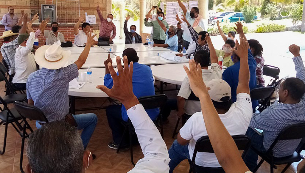 https://accountabilityresearch.org/publication/farmer-movement-oversight-of-mexican-government-agricultural-programs/